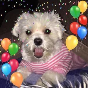 Meet your Posher, Debbie